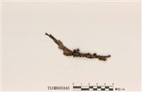 藏品(柔雙歧根梅衣)的圖片